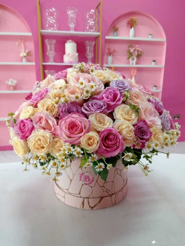 Pastel Dreams
