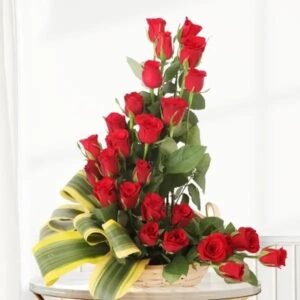 Majestic Red Rose